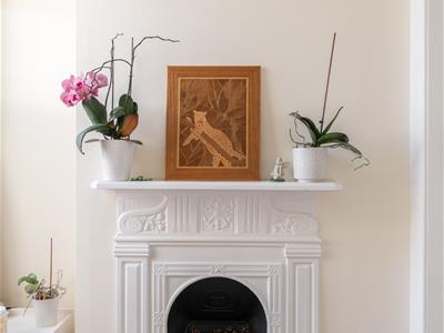 Picture 31
